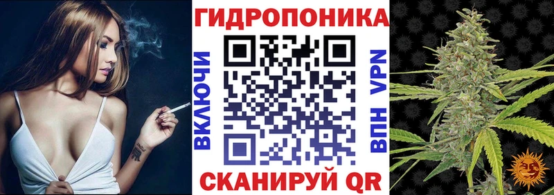 Где можно купить наркотики Николаевск-на-Амуре Псилоцибиновые грибы  Экстази  МЕФ  ОМГ ОМГ как зайти  ГАШ  Alpha PVP  COCAIN  АМФЕТАМИН 