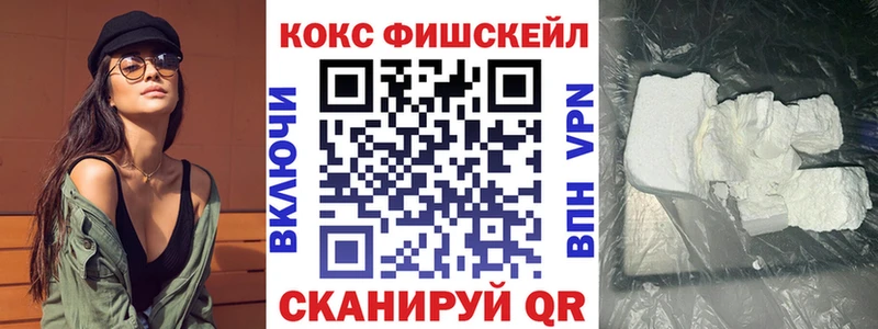 shop состав  Николаевск-на-Амуре  COCAIN Fish Scale 
