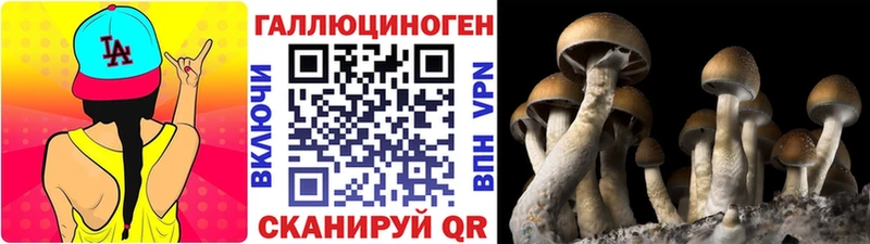 гидра ссылка  Николаевск-на-Амуре  Псилоцибиновые грибы GOLDEN TEACHER 